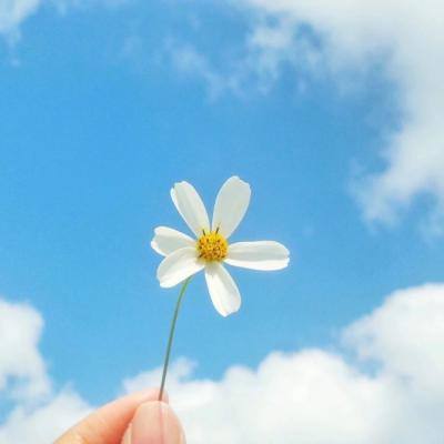 乐发app下载安装